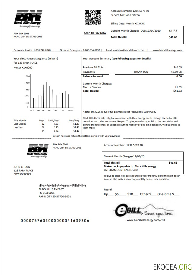 USA South Dakota Black Hills Energy utility bill template in Word and PDF format